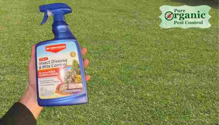 The Insecticide and Pesticide BAYER 701290B
