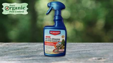 The Insecticide and Pesticide BAYER 701290B