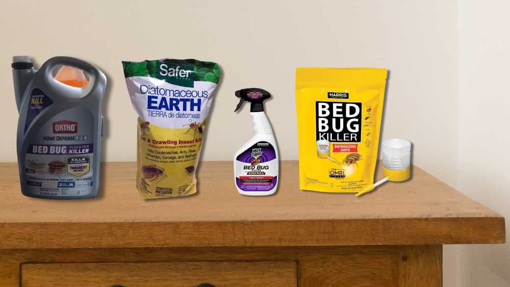 The 5 Best Bed Bug Powder of 2025