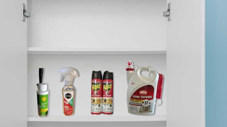 Best Cockroach Spray