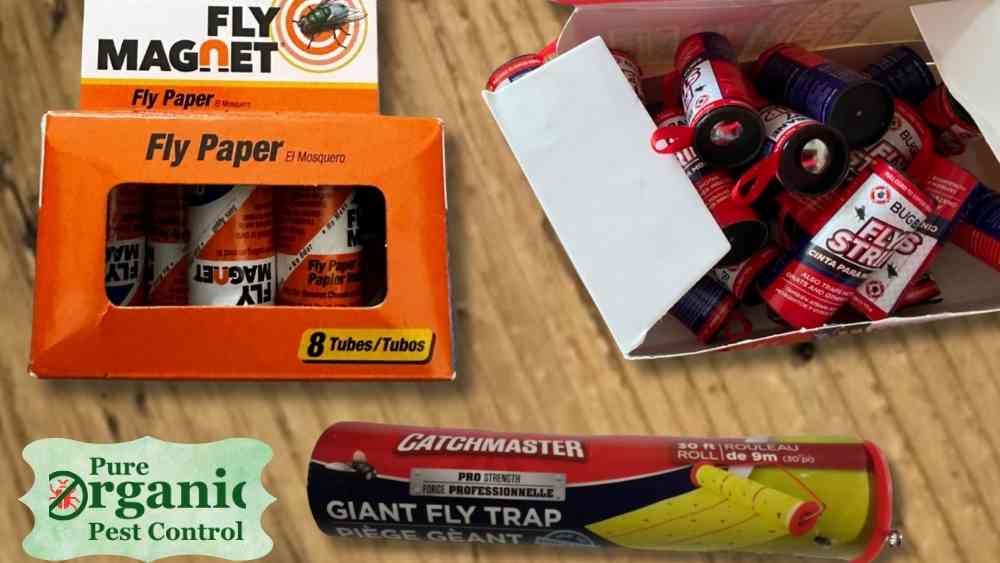 The 5 Best Fly Paper Strips of 2025