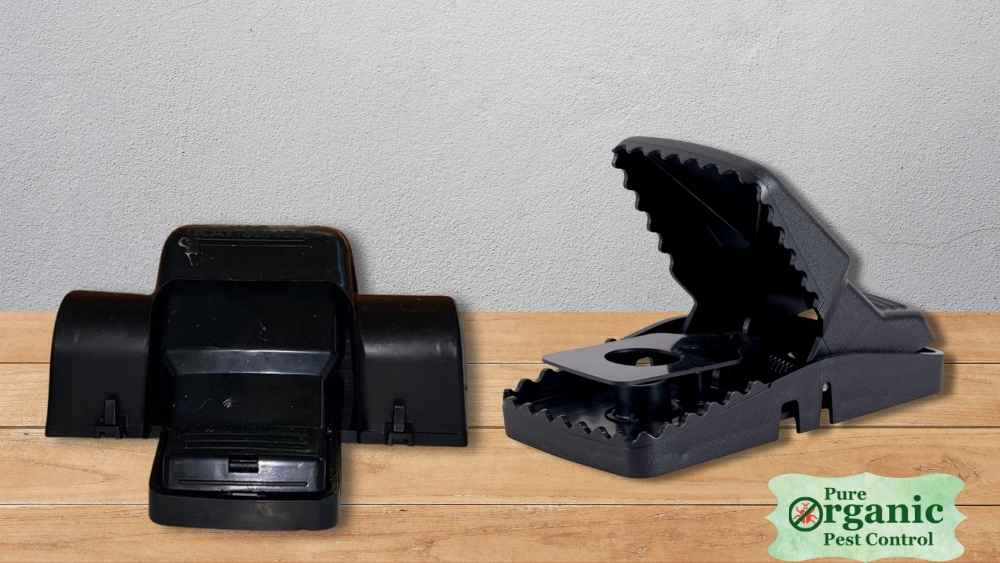 Best Mouse Snap Traps