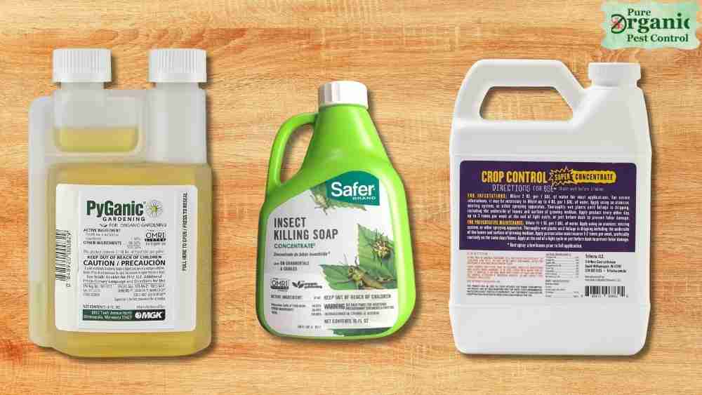 The 5 Best Organic Pesticide Concentrate of 2025
