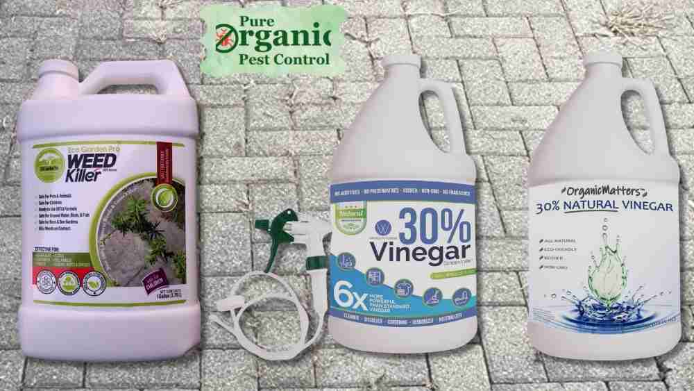 The 5 Best Vinegar-Based Cleaner of 2025