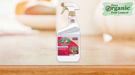 The Insecticide and Pesticide Bonide 2506A