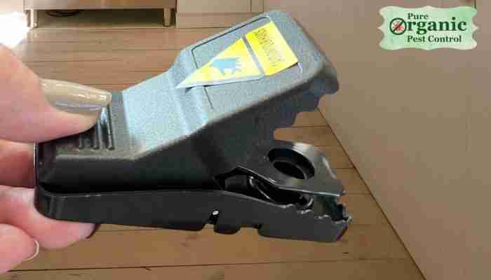 The Mouse Snap Trap Feeke M01-6Pack