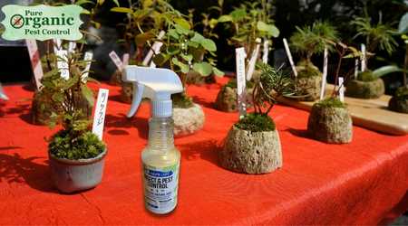 The Fly Spray Mighty Mint 860000087537