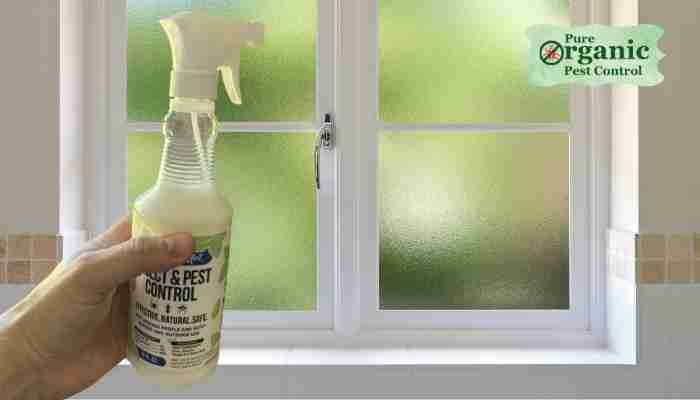 The Fly Spray Mighty Mint 860000087537
