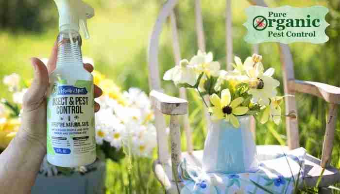 The Peppermint Oil Mighty Mint‎ 860000087537