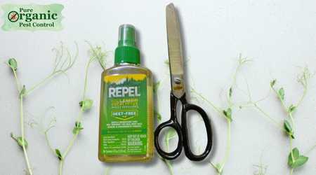 The Fly Spray Repel 94108