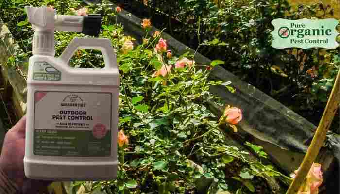 The Insecticide and Pesticide Wondercide