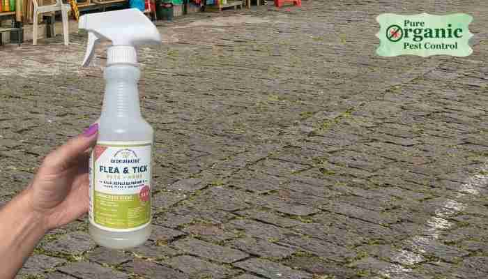 The Fly Spray Wondercide FTPH016L