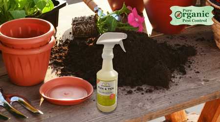 The Fly Spray Wondercide FTPH016L