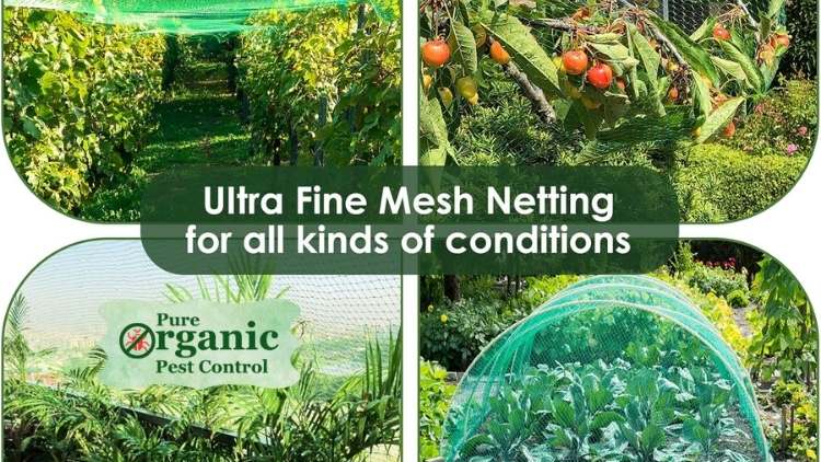 The 5 Best Bird Netting of 2025