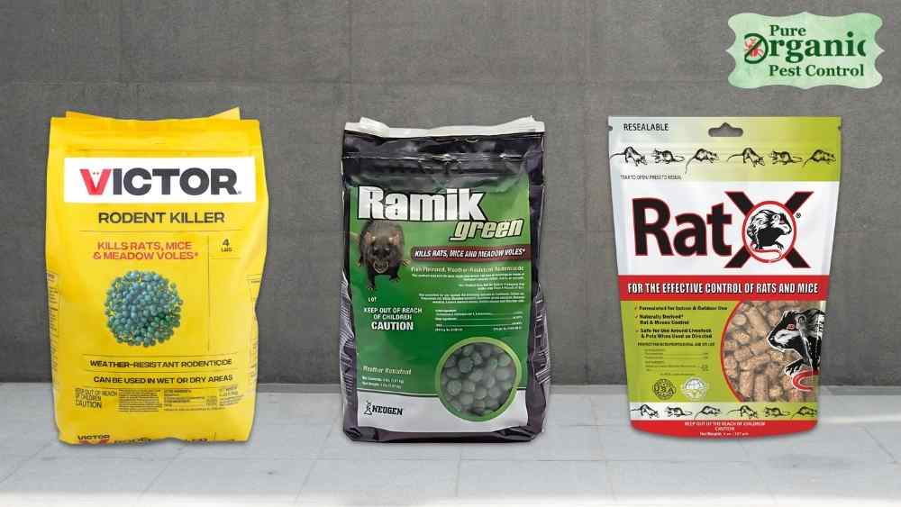Best Rodent Poison Pellets