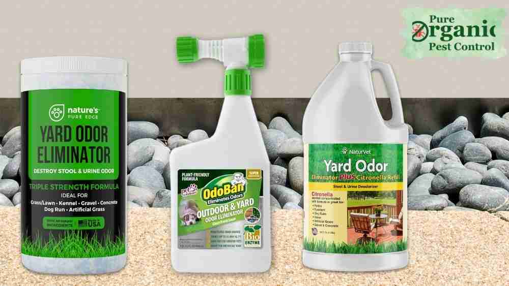 What Are The 5 Best Yard Odor of 2025 