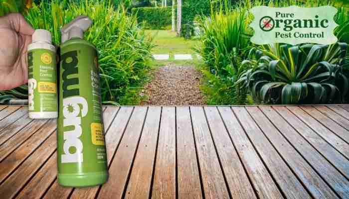 The Bugmd Ant Killer & Bug Spray BugMD 1111
