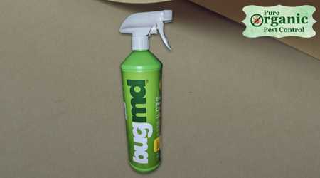 The Bugmd Ant Killer & Bug Spray BugMD 1111