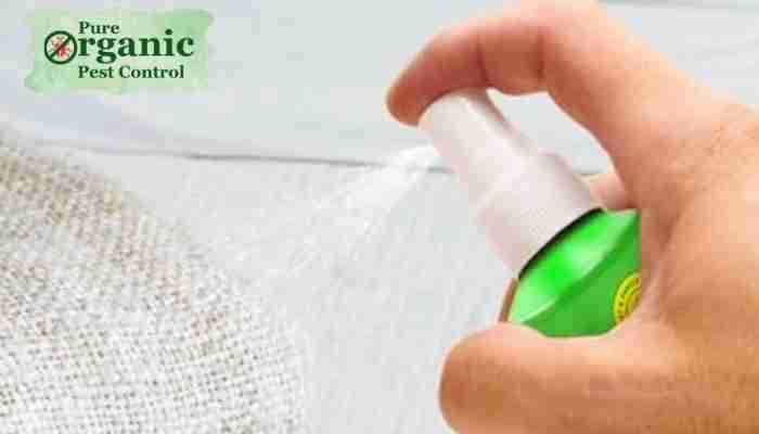 The Bugmd Ant Killer & Bug Spray BugMD Bed Bug