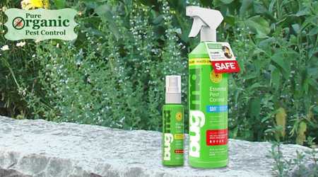 The Bugmd Ant Killer & Bug Spray BugMD Bed Bug