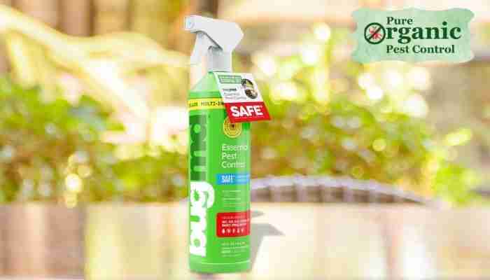 The Bugmd Ant Killer & Bug Spray BugMD Natural